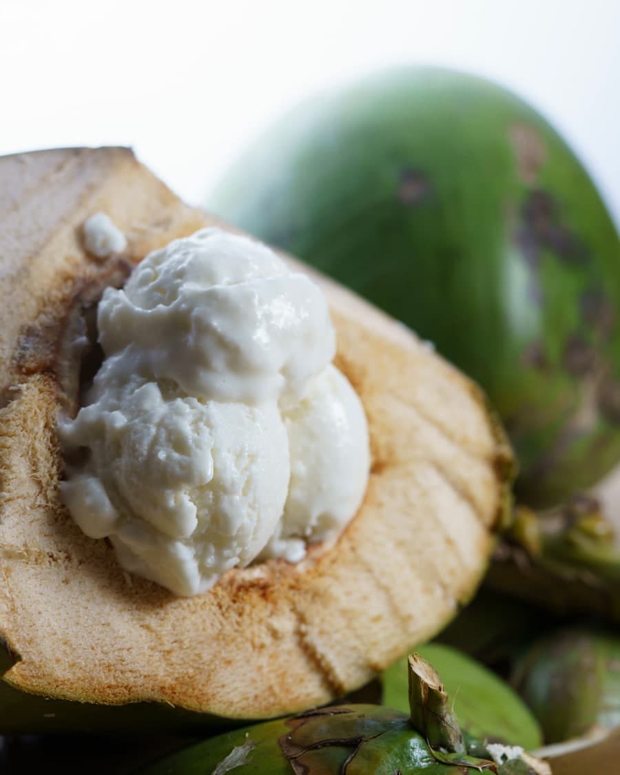 Coconut